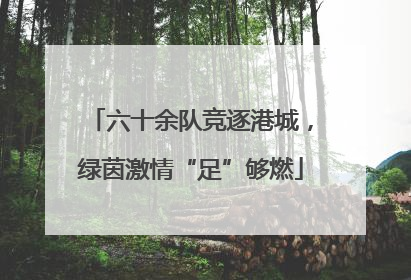 六十余队竞逐港城，绿茵激情“足”够燃